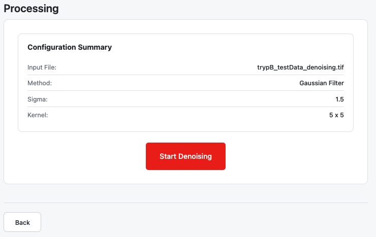 Step 3 showing configuration summary and start button