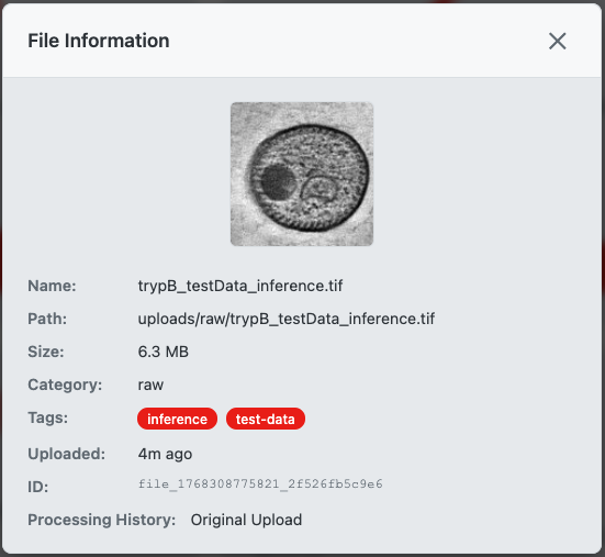 Screenshot: File info modal showing metadata and processing history