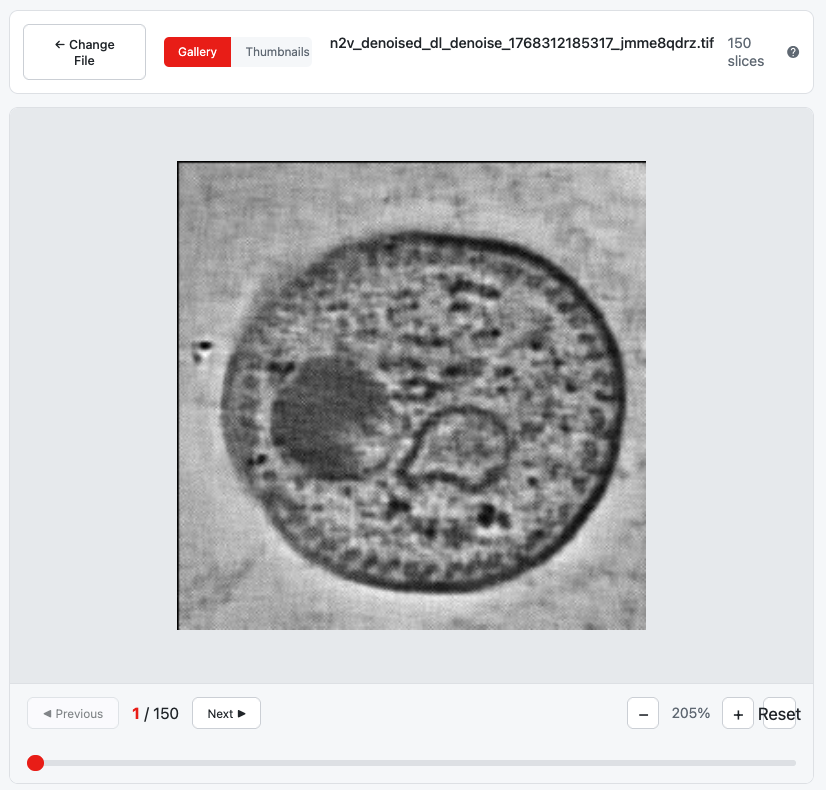 Step 2 showing the full viewer interface with toolbar and controls
