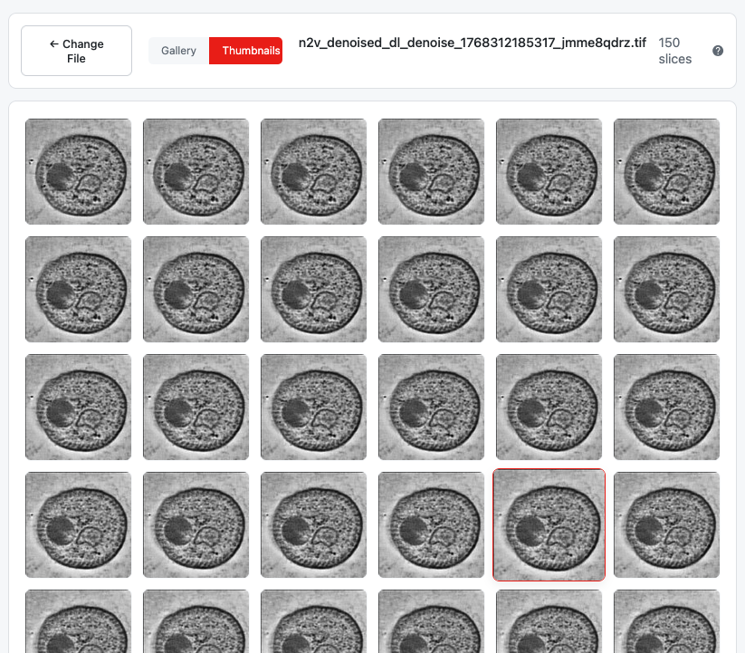 Thumbnail mode showing grid of slice previews