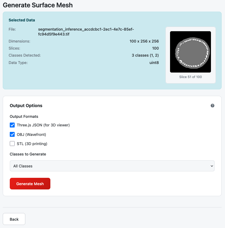 Step 2 showing data summary and generation options