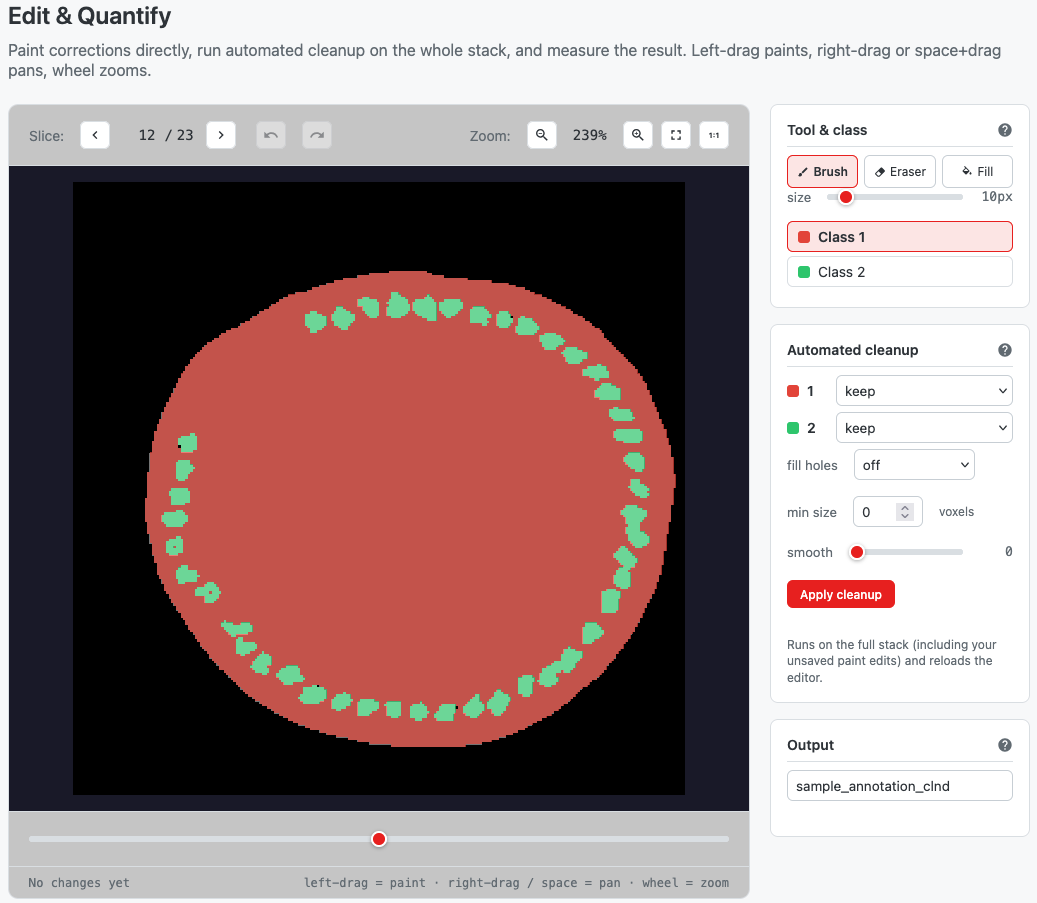 Segmentation edit step wit tools and automated cleanup sections