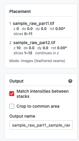 Placement summary and output options